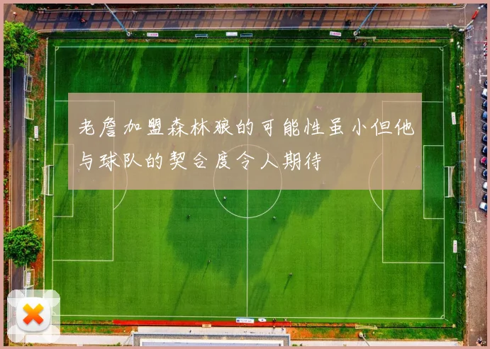 老詹加盟森林狼的可能性虽小但他与球队的契合度令人期待
